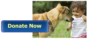 donate_button_infant_dog